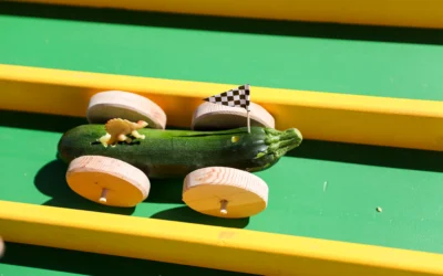 Zucchini Car Races Coming Soon – Oct 12, 2024